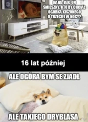 3a56bcb4-2168-4f69-acb8-8e1c7b5872ec