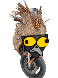 223d55e9-0fe2-4374-8b70-40484b6d749c