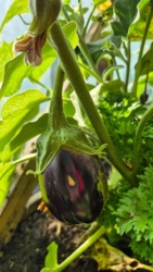 3bf9d0aa-1251-4ae4-abd1-741ab9d7ea4c