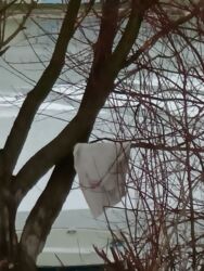 bf832842-3160-40ff-ab85-77f32f57bc31