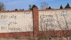 46916bef-2147-4e7e-bcd7-935fa2e52a95