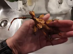 23f8c30e-3934-4c0f-b601-33955e5374e0