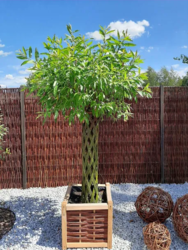 aae27010-5a75-487f-be81-0df5367755f3