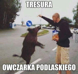 13864f17-0021-4d8d-bb2e-802a19f60798