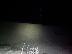 db4cf890-bcb6-4c2b-9041-a8b8b7ffd0d1