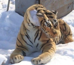 de47db42-701b-4804-94f5-9ffc813db2e0