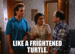 d468cd07-1adf-4ec7-be3e-dcb64af05bc4