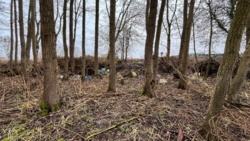 4238ce7d-7262-4bb4-b9f5-f4bb740d289d