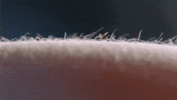 0fff21b2-30e5-40ab-b387-43450d3628f4