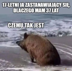 0636b8b6-331a-47c5-9d1f-36cd36be2fc1