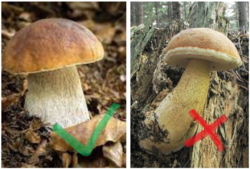 d1cedd30-da14-495c-a4b5-181736f7fa94