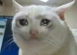 772fe8f8-7c9a-4389-a34f-e9e37c5fb7a9