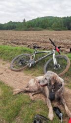 260329bc-b8b7-48c4-a1ff-36963dfe19df