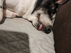 a2fad1f1-e4bb-4780-ac7a-91041572f57f