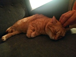 9aea50a2-d04c-4c83-a1ed-31771aa9d67f