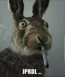 e8ffdf3b-5f5f-4110-88a2-e8f935030df2