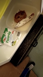 09fc4634-a04a-4288-8c04-0d9c71b31e87