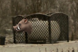 606e074a-6285-4cbd-bb09-8926e4a60297