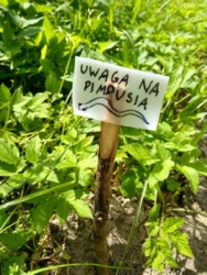 53b34a9e-f6ac-4a6e-bbc4-b8b7c5676824