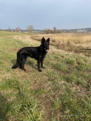 d591096f-3c18-4264-853f-2b25931d7ffb