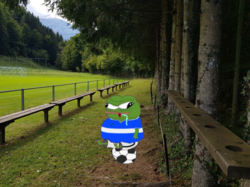 fd417dda-b300-4d2d-b942-efbd8a8dc432