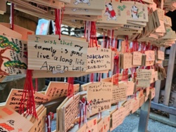 5e720886-4f09-4ea7-a4ab-c77fbd088f6c