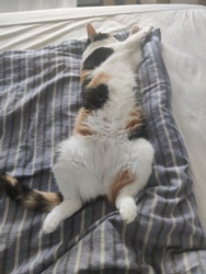 c0d9e019-7311-4929-af11-2e92337c0c45