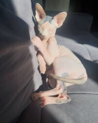 1168218d-0673-452a-99d4-b096dd84d187