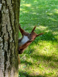 fa728058-54ea-476c-8f05-bbf3f13c3225