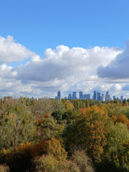 55c7800a-c871-4bef-a3e6-6e7bac937c42