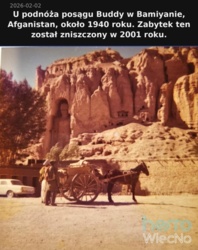 3089aacb-62cf-4b1c-8b0a-07048e2103eb