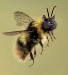 205ba737-8f7d-4338-a80d-45a5a6203f90