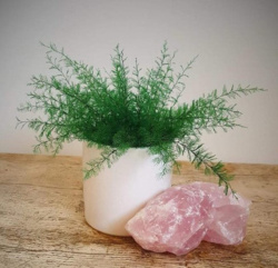 077ca8bf-ea04-410e-adec-e865c34a9859