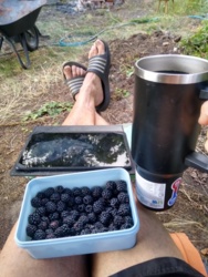 d462b7f1-6b75-4de8-8bac-59028d73ad0a