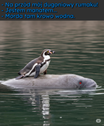 72a0032a-9dc6-4d47-af04-1b9ad3e06708