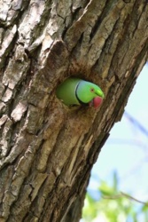 7f26b1d0-8c00-445f-a6ef-0d490eb3f3be