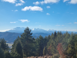 3a3c4e58-19ff-40c9-9dcd-1abeb28347fe