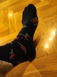 234eeea8-0196-48a2-bb59-c29c501f4ce2