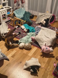 6ebdc1f2-b550-4949-a8a7-5b734269d912