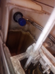 d5985242-249f-408b-b540-55fd8a71f92f