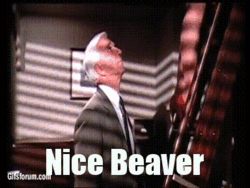 625a4fbe-02da-437d-930f-fd8ecf636d97