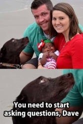 886867a6-001e-4f41-a081-e025962533f5