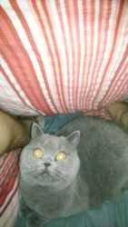 9c6955d7-faec-48c9-85f6-12c77c31aabc