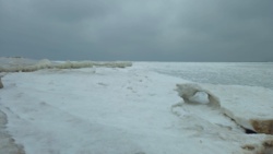 cfe9e56c-afb9-40f3-a3cf-6220bf9e3214