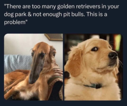 7d8dbfa9-3657-4d0d-a42d-390b3959bd91