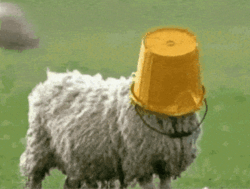 124e91ac-8295-4795-a4fa-1f23f5bd83b4