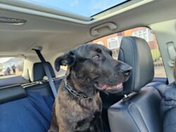 6c8a437e-8c7d-4b8f-a3f5-f88b14aaa8a2