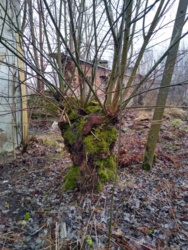 a0b2cce0-4d31-4a4e-b556-6d986279aa01