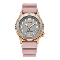 745735ea-445a-4475-876e-4a5ae6856981