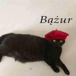 1dbae349-e4f8-40ce-85de-ec1b930d2c28